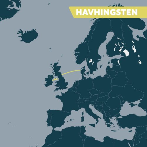 Havhingsten