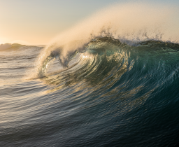 wave