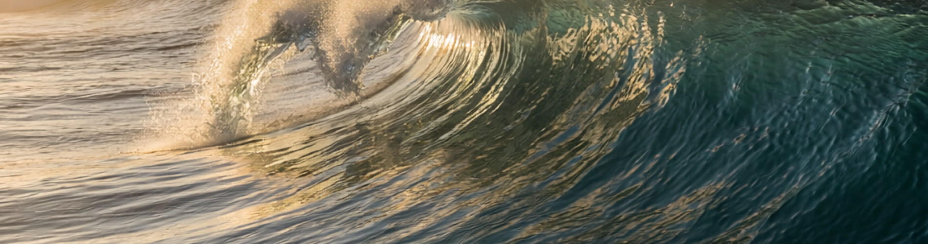 wave